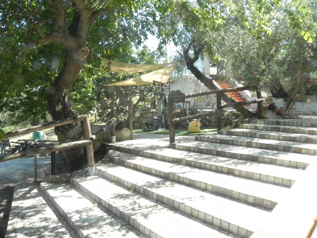 Agriturismo B&B Il Rifugio Di Nino Contursi Terme Buitenkant foto