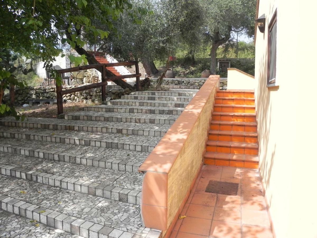 Agriturismo B&B Il Rifugio Di Nino Contursi Terme Buitenkant foto